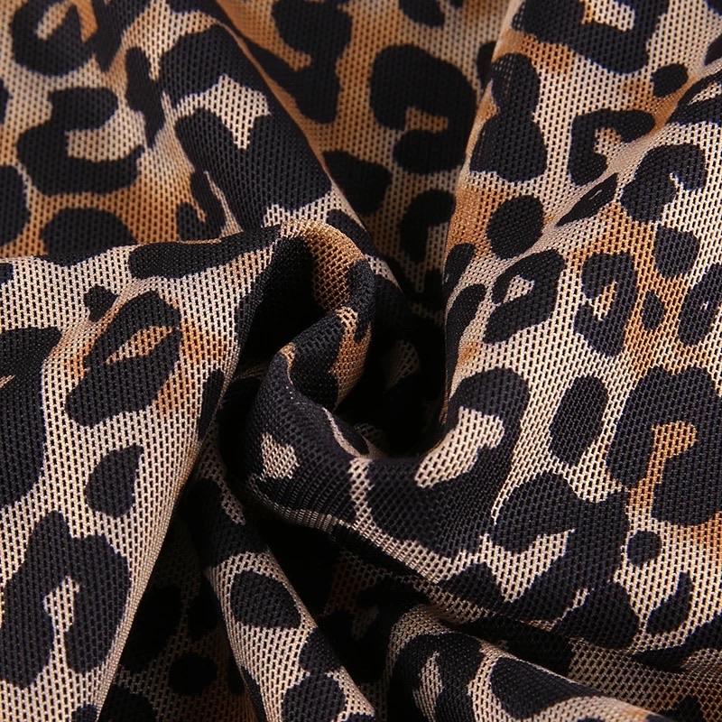 Dolly Leopard Pants 🍂 - Sour Puff Shop